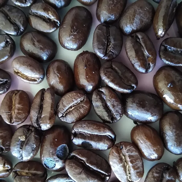Guatemala Antigua SHB 1 kg